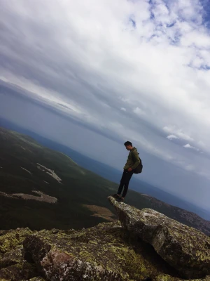 Викентий