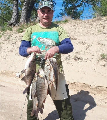 Борис