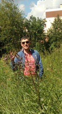 Добрыня