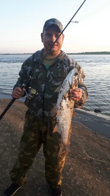 Спартак